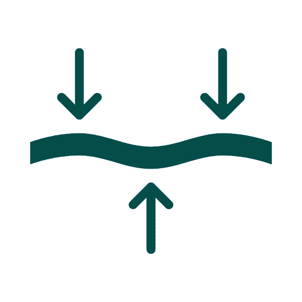 Emface Benefits Icon