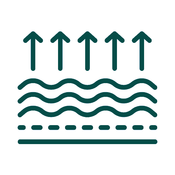 Emface Benefits Icon